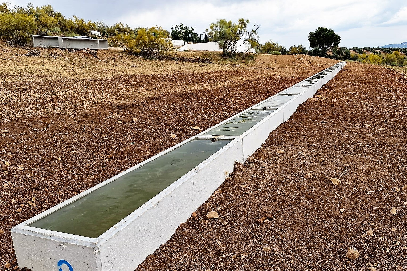 Abrevaderos en el paraje Fuente del Rosal, en Navas de San Juan.