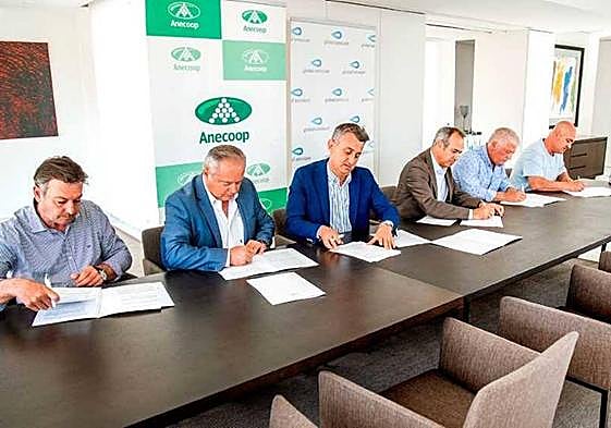 Anecoop medirá sus huellas hídricas y de carbono