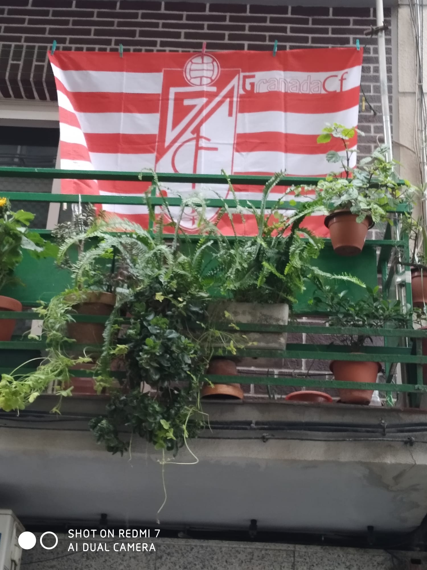 Granada saca sus banderas rumbo a Primera