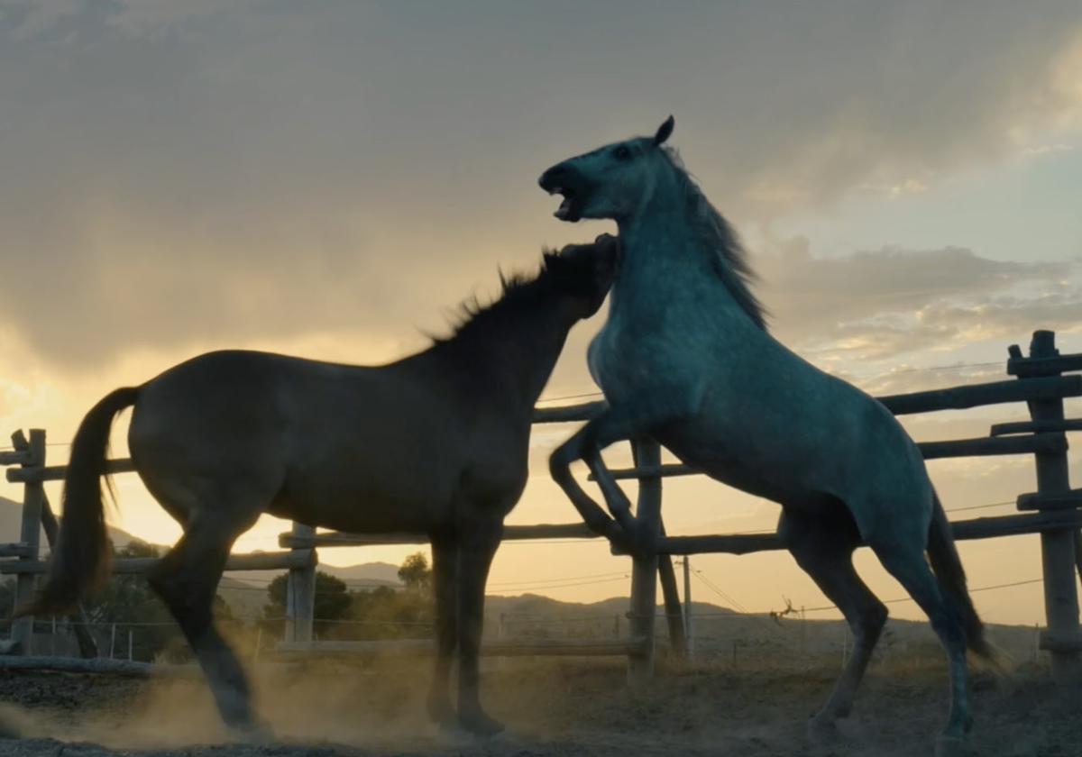 Una de las escenas del documental 'El Caballo español, el origen'.