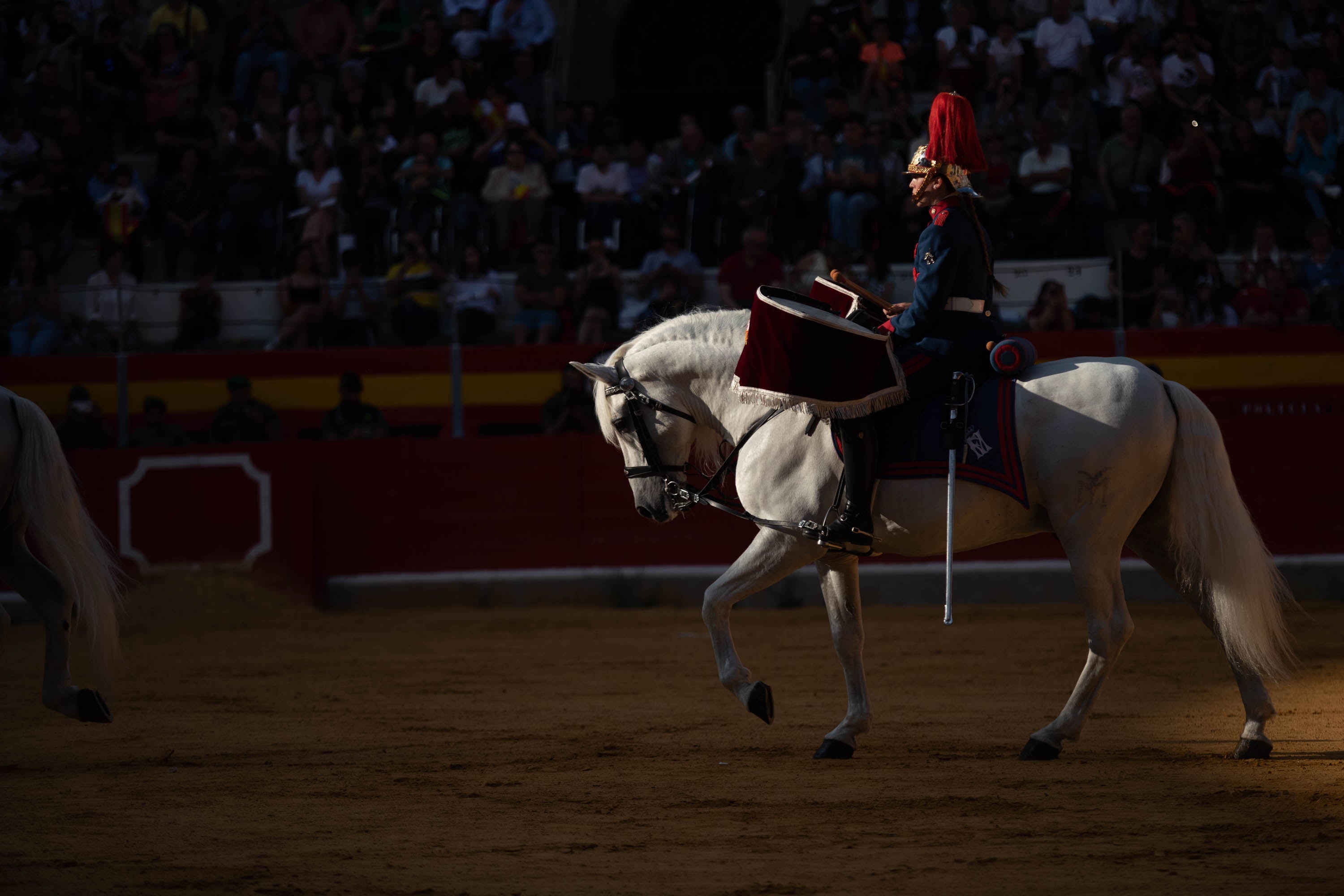 La exhibición militar en la plaza de toros, en imágenes