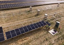 Obras de construcción del parque solar agrovoltaico en Alhendín.