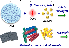 Explicación nanomolecular de la UGR.