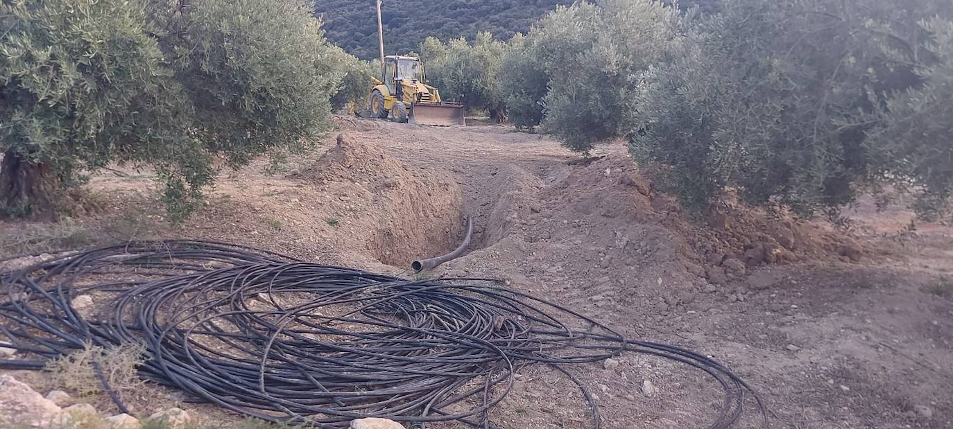 Instalación del sistema de riego en un olivar de Jaén.
