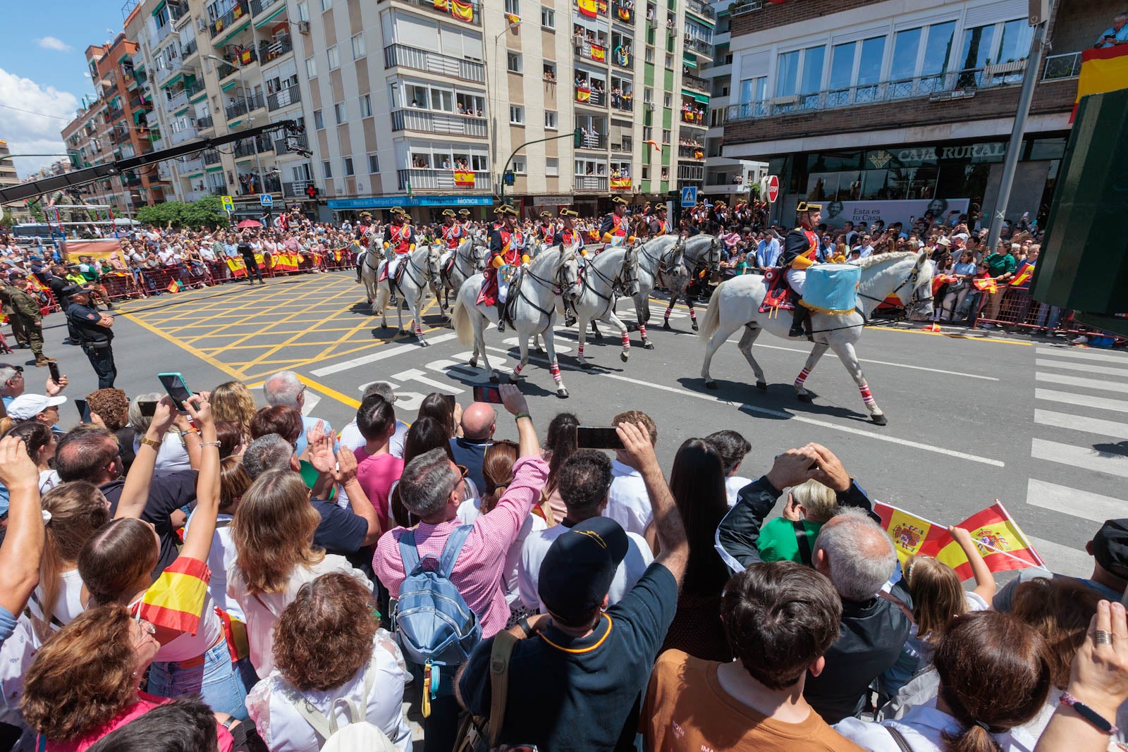 Las imágenes de los granadinos disfrutando del desfile de las Fuerzas Armadas