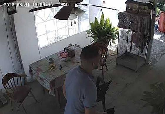 El ladrón fue captado por las cámaras de seguridad de la vivienda.