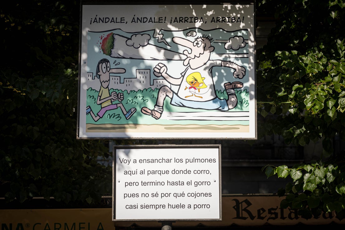 Las carocas ganadoras que recorren la Plaza de Bibrambla