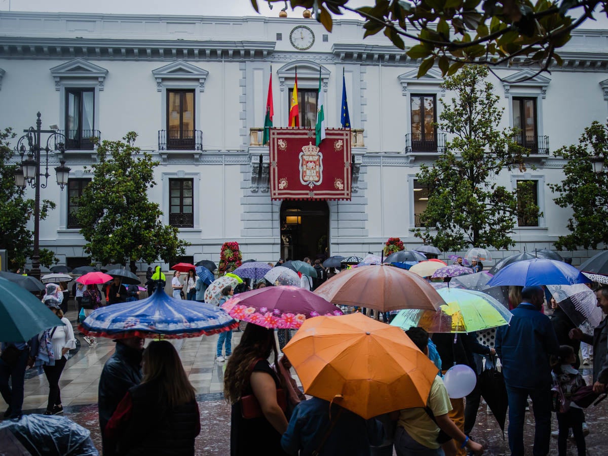 Las imágenes de los granadinos visitando a la Tarasca