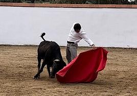 El diestro granadino, en uno de sus últimos tentaderos.