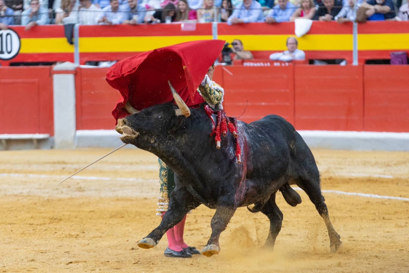 Las imágenes de la tarde triunfal de El Juli, Roca Rey y Tomás Rufo