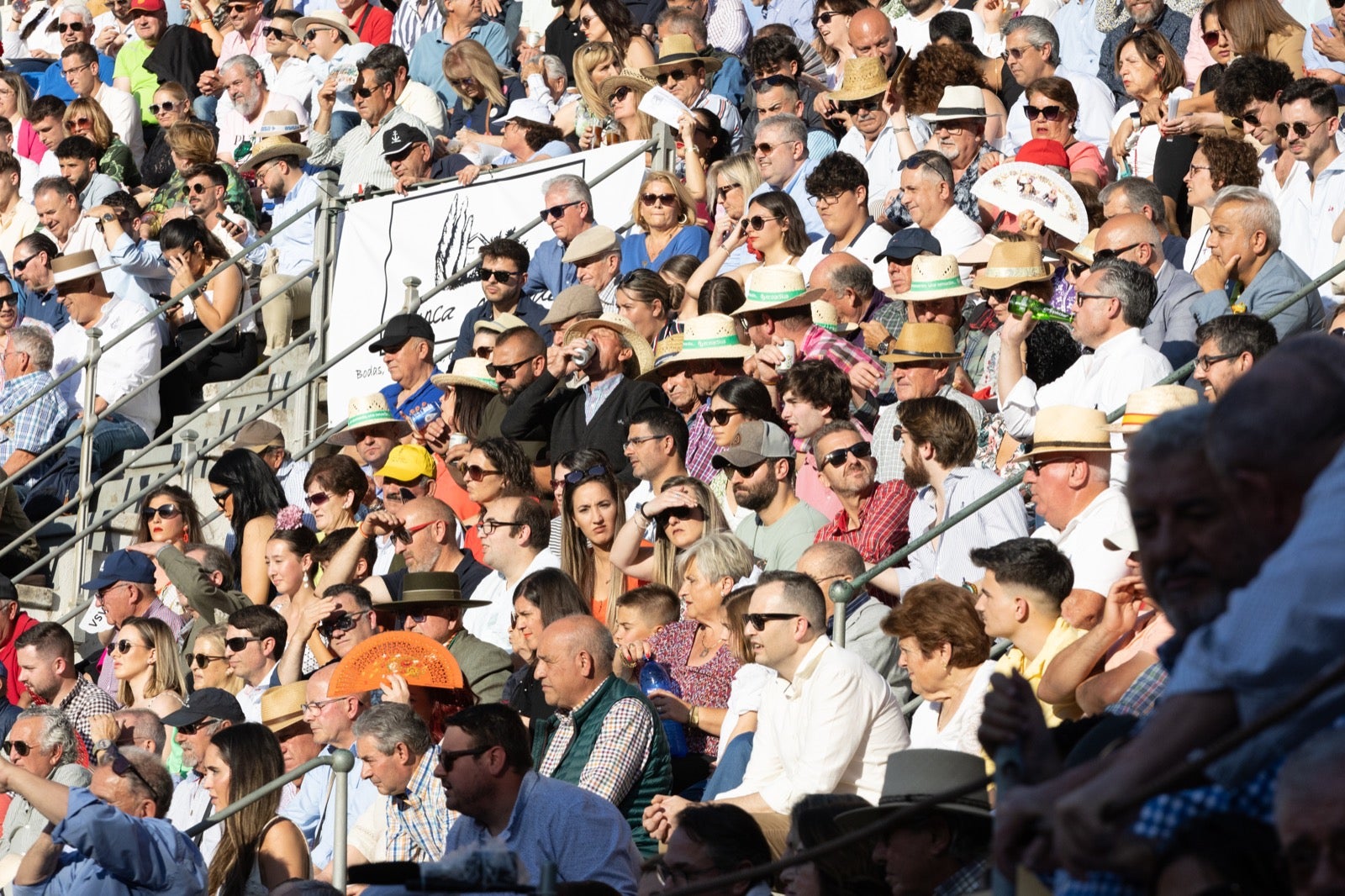Encuéntrate en la plaza de toros de Granada en la tarde del viernes