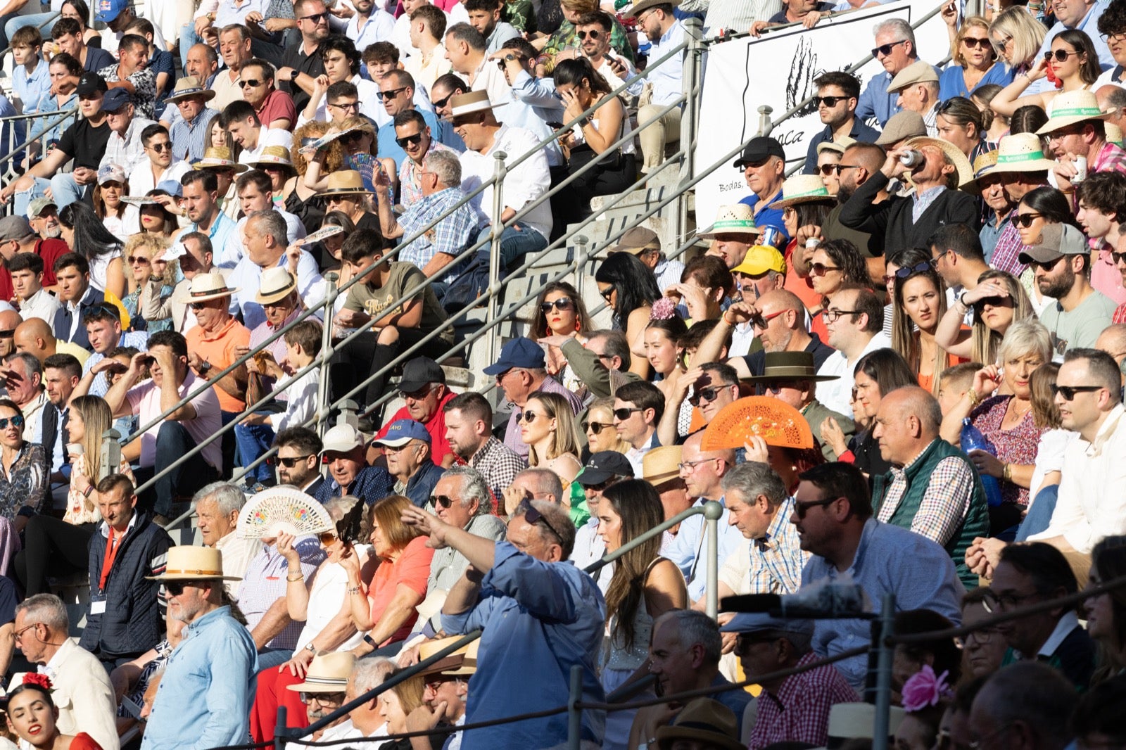 Encuéntrate en la plaza de toros de Granada en la tarde del viernes