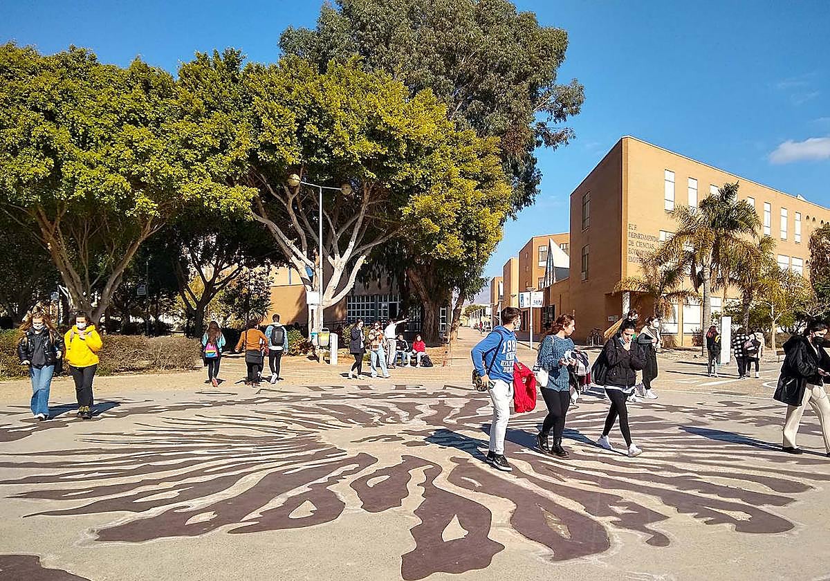 Alumnos en el Campus de la Universidad de Almería.