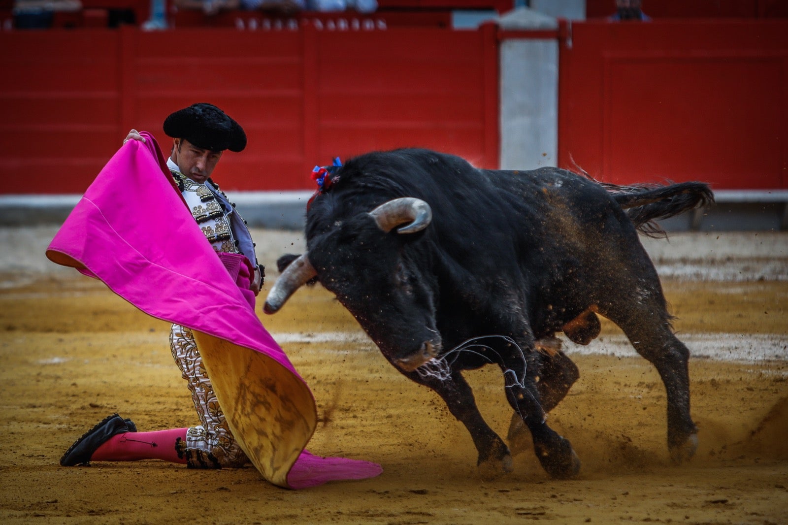 La corrida del Corpus, en imágenes