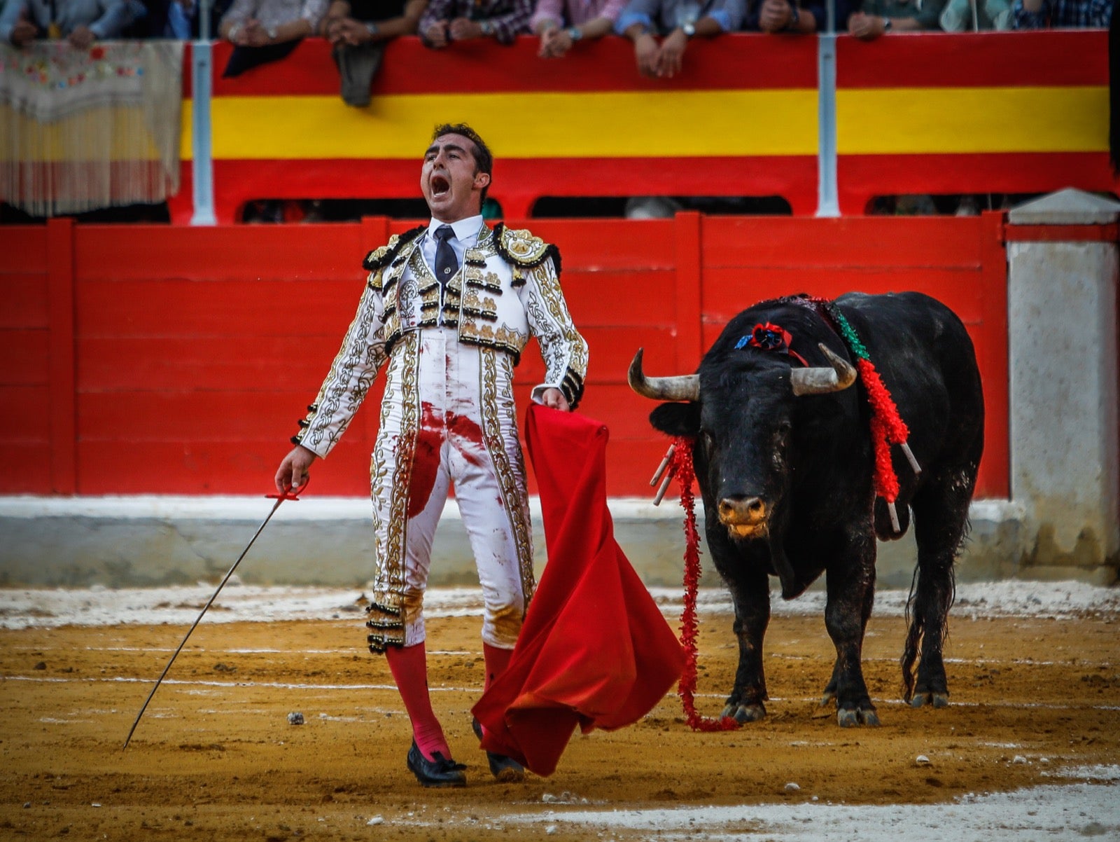 La corrida del Corpus, en imágenes