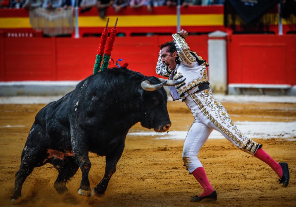 La corrida del Corpus, en imágenes