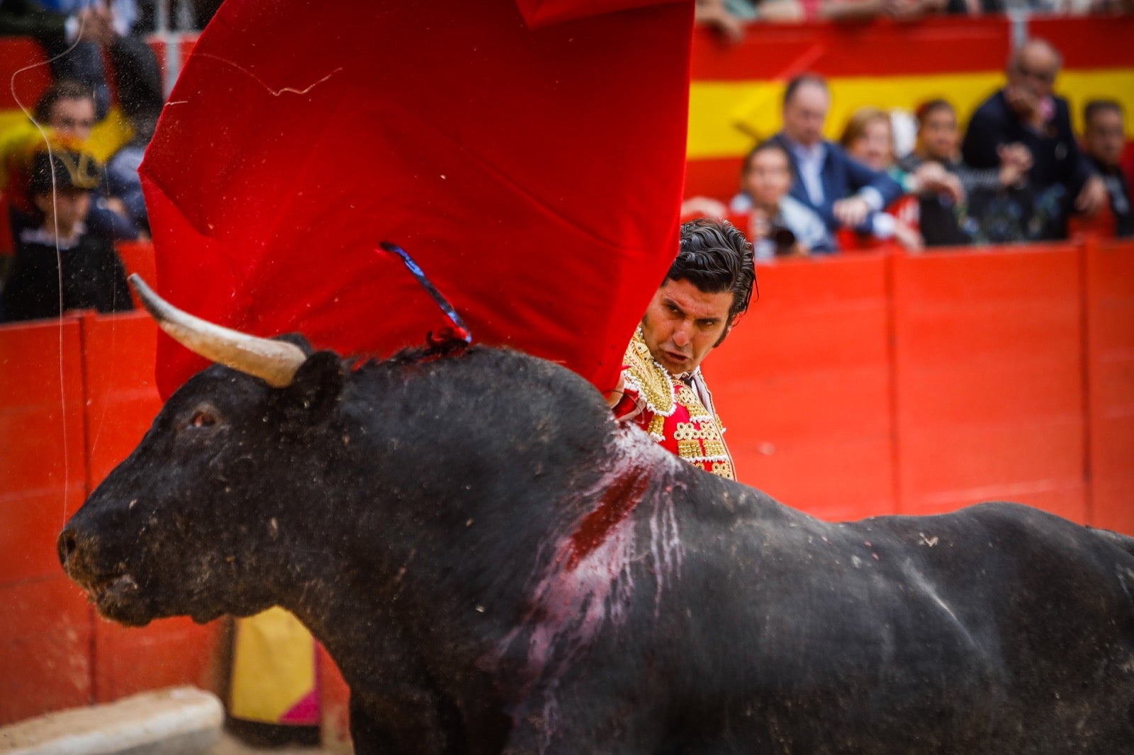 La corrida del Corpus, en imágenes