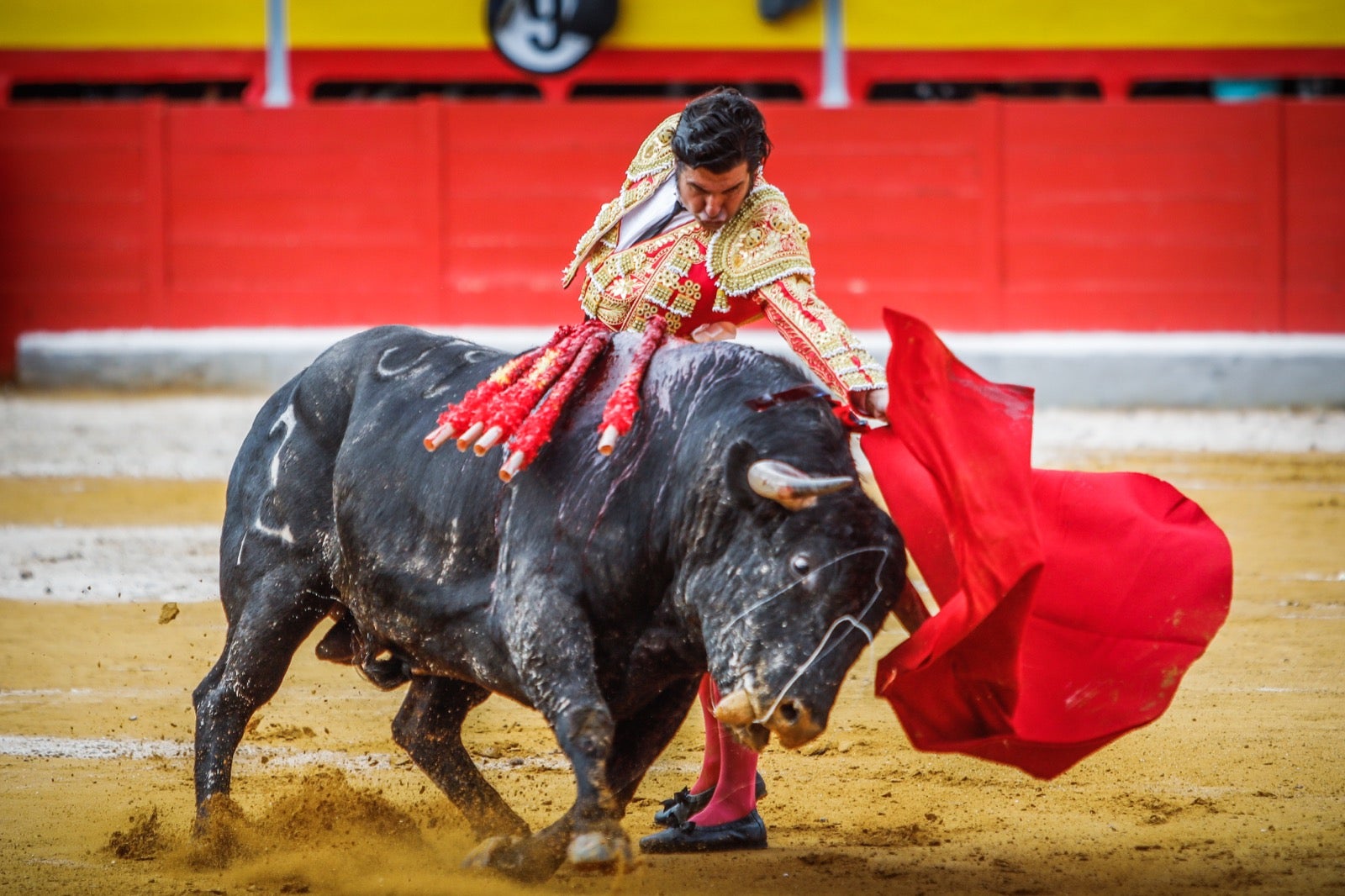 La corrida del Corpus, en imágenes