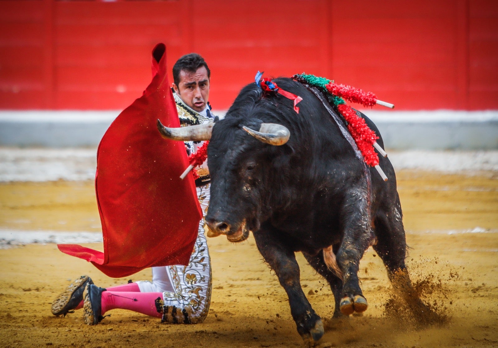 La corrida del Corpus, en imágenes