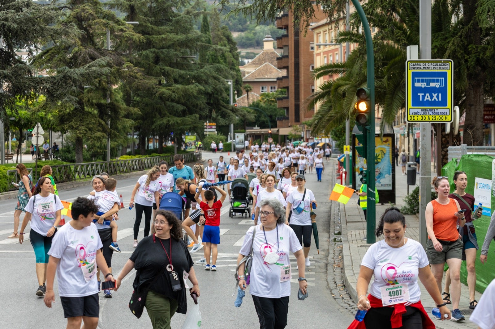 Granada marcha contra el cáncer