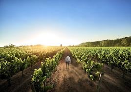 IQV lanza su nuevo producto Valtosan para mercado nacional