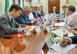 Reunión de delegados provinciales de la Junta.