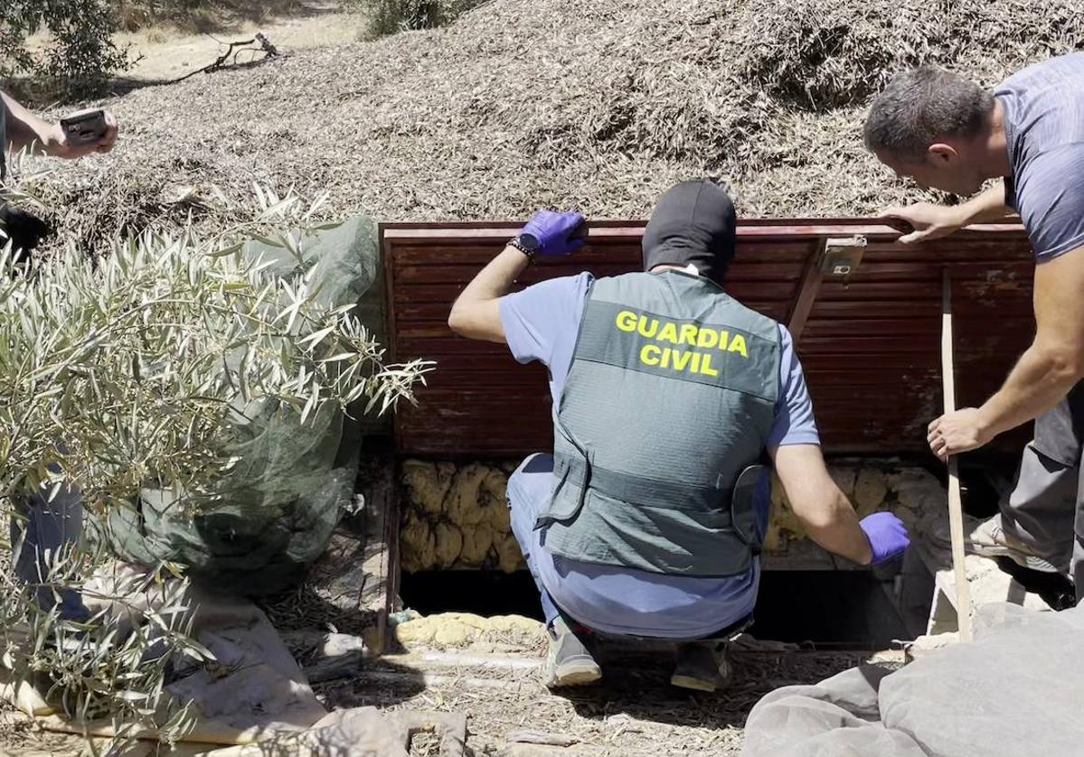 El contenedor enterrado que contenía una plantación de cannabis.