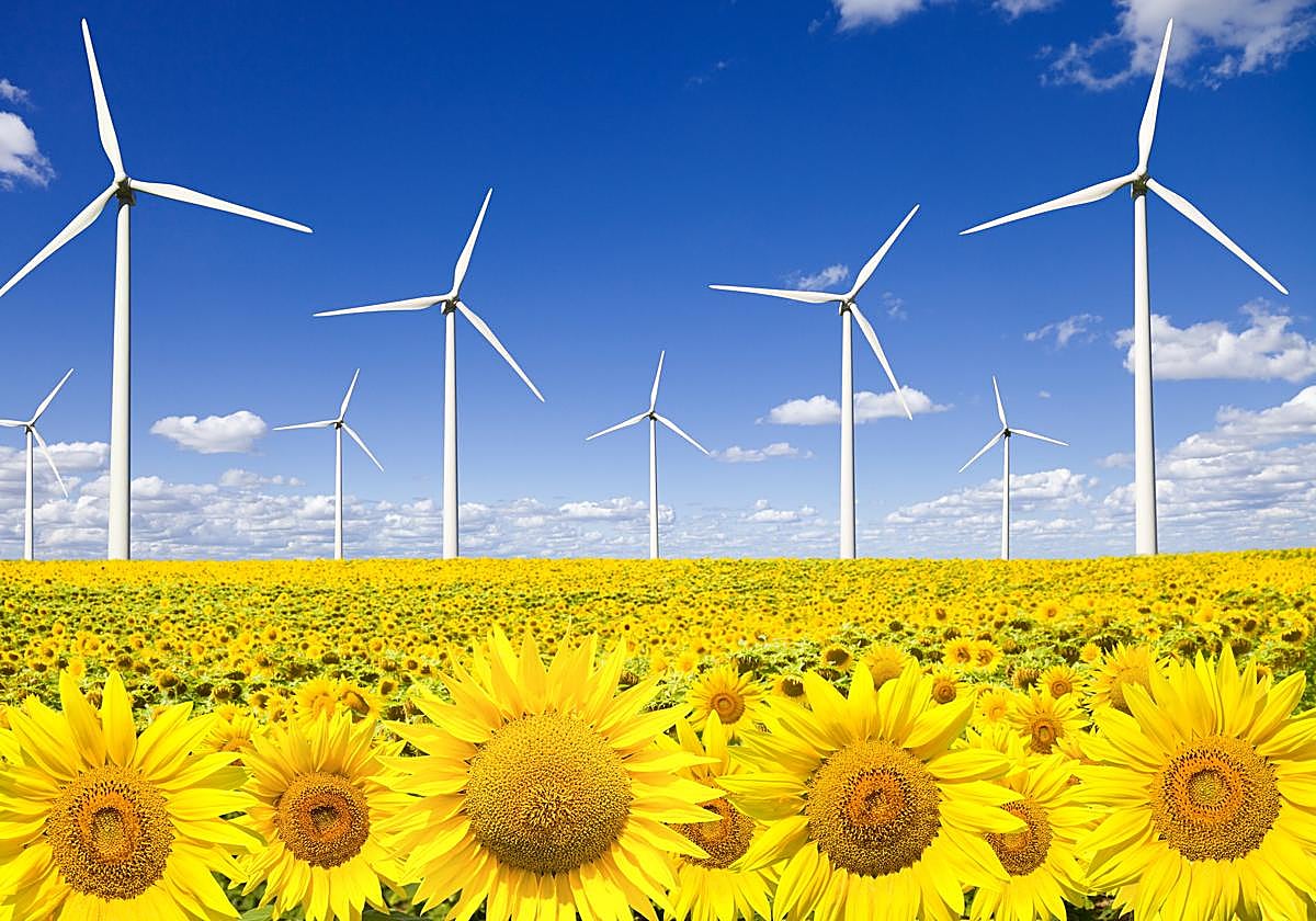 Un proyecto de país y de ciudad