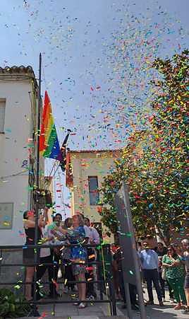 Momento del izado de la bandera.