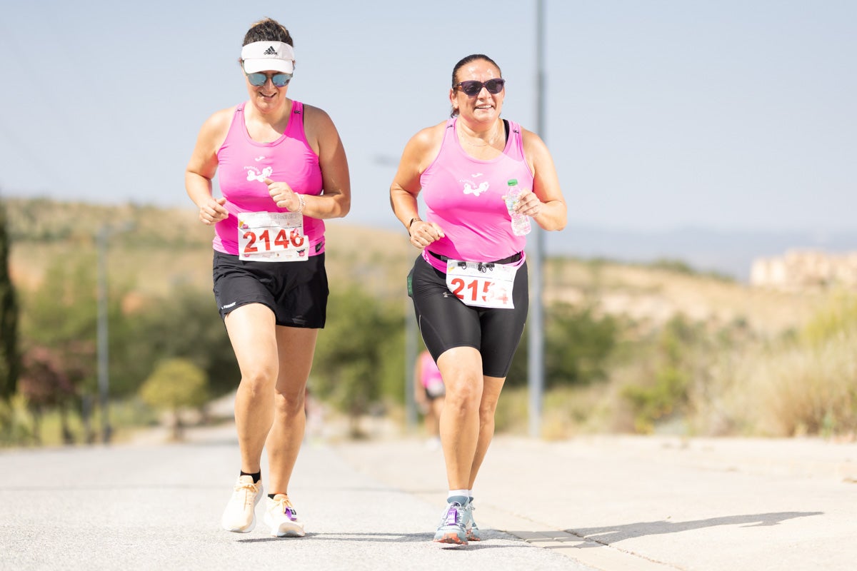 Encuéntrate en la carrera de Gójar