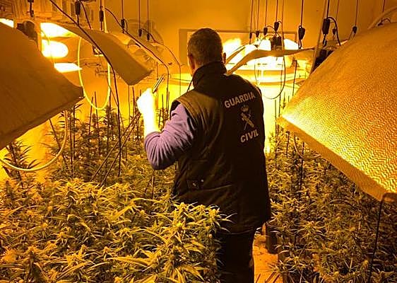 Uno de los invernaderos descubiertos.