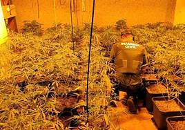 Encuentran marihuana, hachís, cocaína y una escopeta robada en una vivienda de Canjáyar