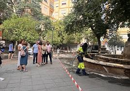 Carazo visita a las brigadas de limpieza.