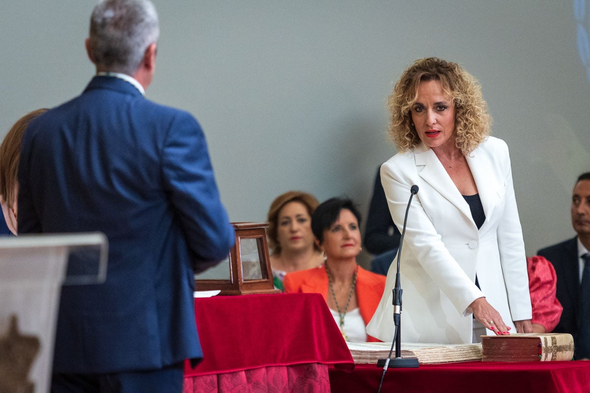 Las imágenes de la constitución de la Diputación de Granada