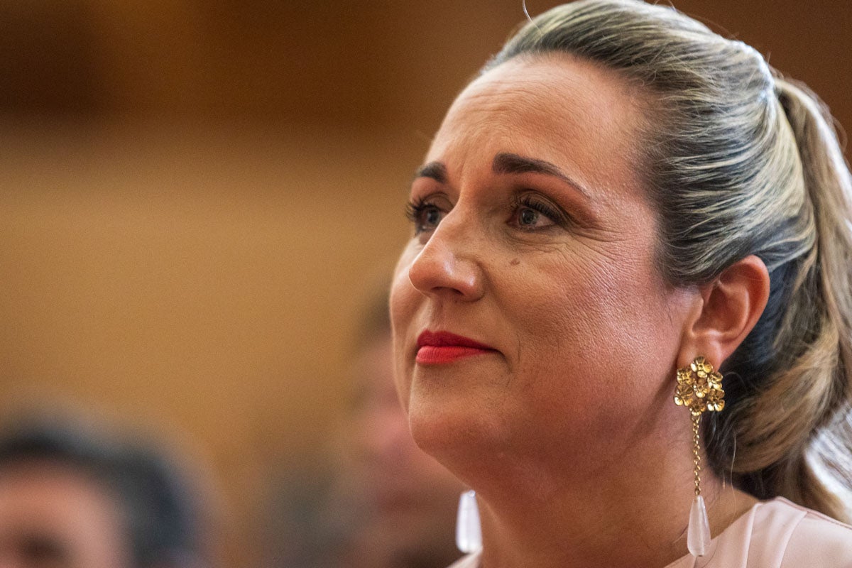 Las imágenes de la constitución de la Diputación de Granada