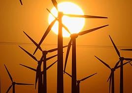 Molinos de viento en una plantación de aerogeneradores.