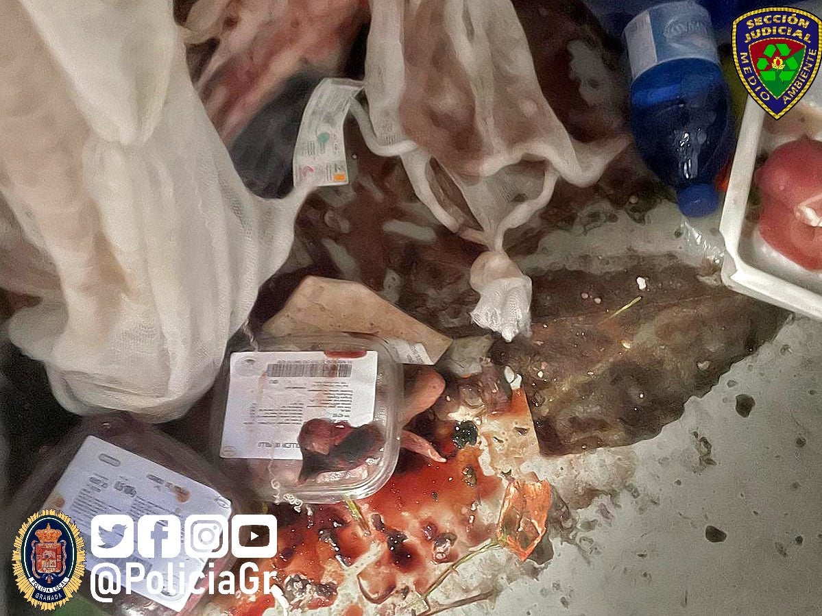 Las imágenes de la carnicería clausurada en Granada con carne podrida