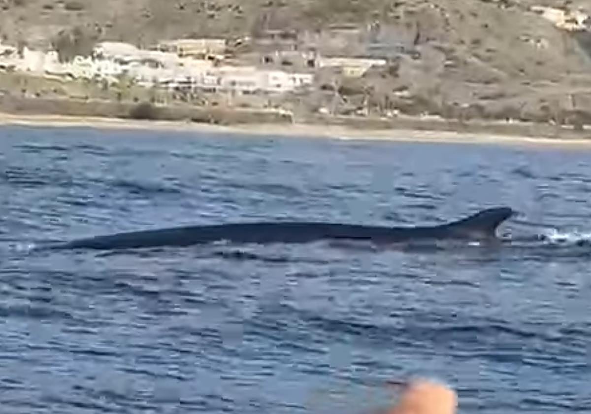 Captura del vídeo subido a Facebook.