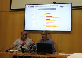 Las empresas de Coexphal cierran la campaña con el mejor precio medio de la última década