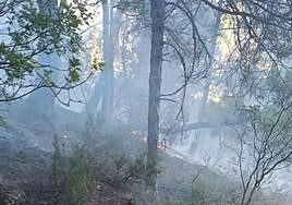 Restos del incendio junto al Puente de las Herrerías, en Cazorla.