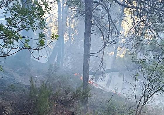 Restos del incendio junto al Puente de las Herrerías, en Cazorla.