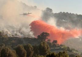 Incendio declarado en Aguas Blancas.