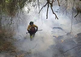 Un bombero del Plan Infoca en plena tarea de extinción en el incendio del pasado año en Sierra Bermeja.