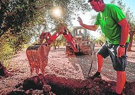 Los responsables del proyecto y el agricultor de Íllora muestran el funcionamiento del infiltrador.