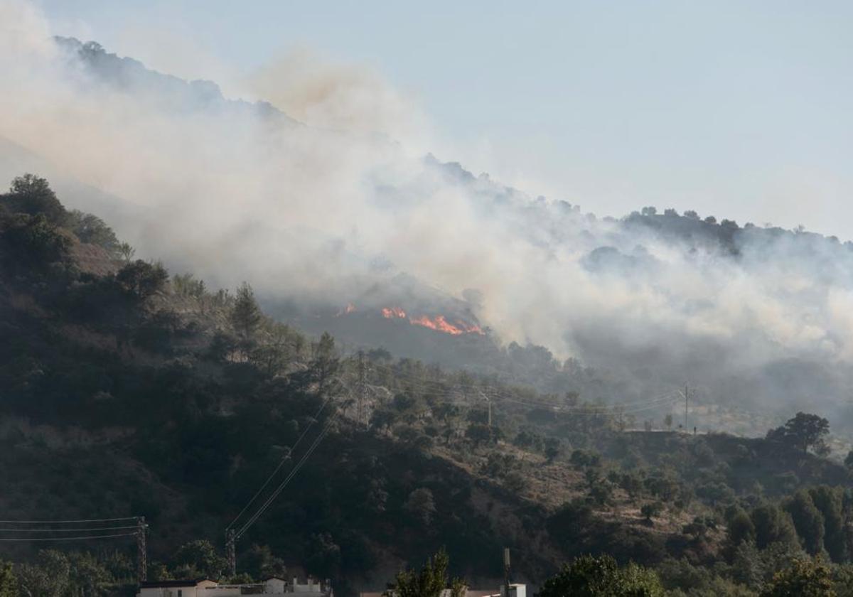 El incendio en Pinos Puente,.