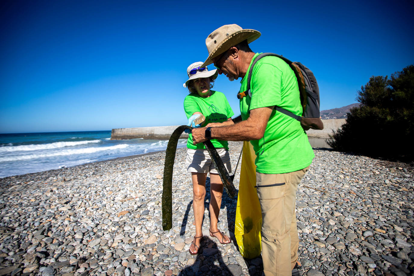 Las imágenes de la limpieza del Guadalfeo