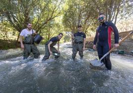 Marcos, Luis, Toni y Gonzalo, buscadores de oro en el río Genil, junto al Paseo de la Fuente de la Bicha.