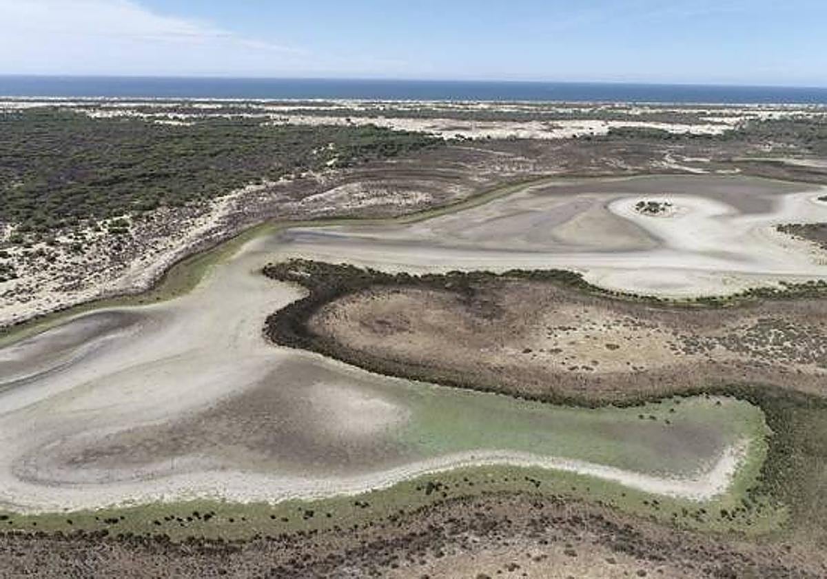 Aspecto de la laguna de Santa Olalla sin agua en Doñana ante la grave sequía.