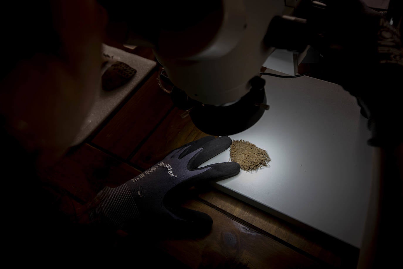 Las imágenes de la imponente Cueva de los Murciélagos de Granada