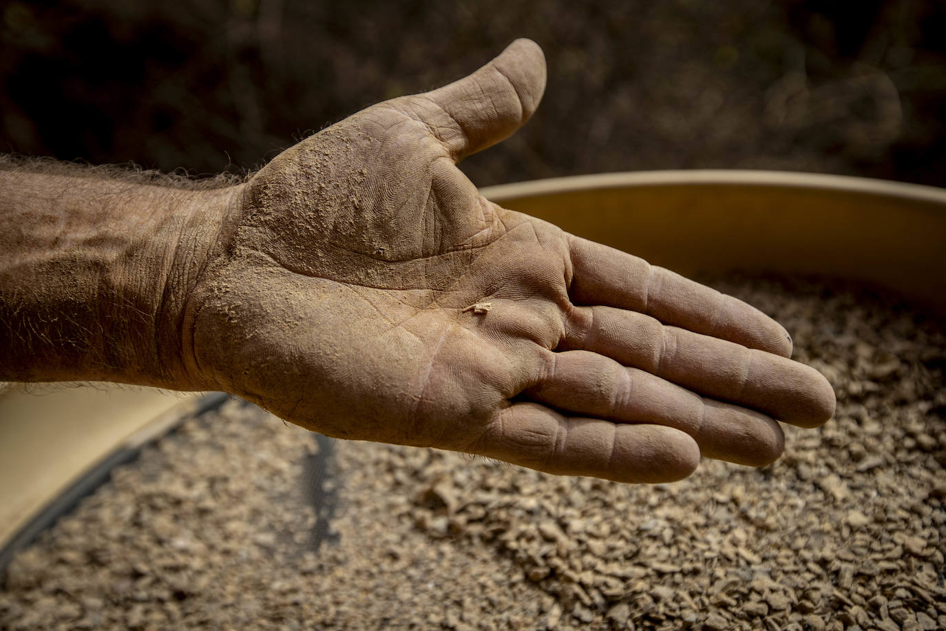 Fragmento de fibra cribado del terreno.